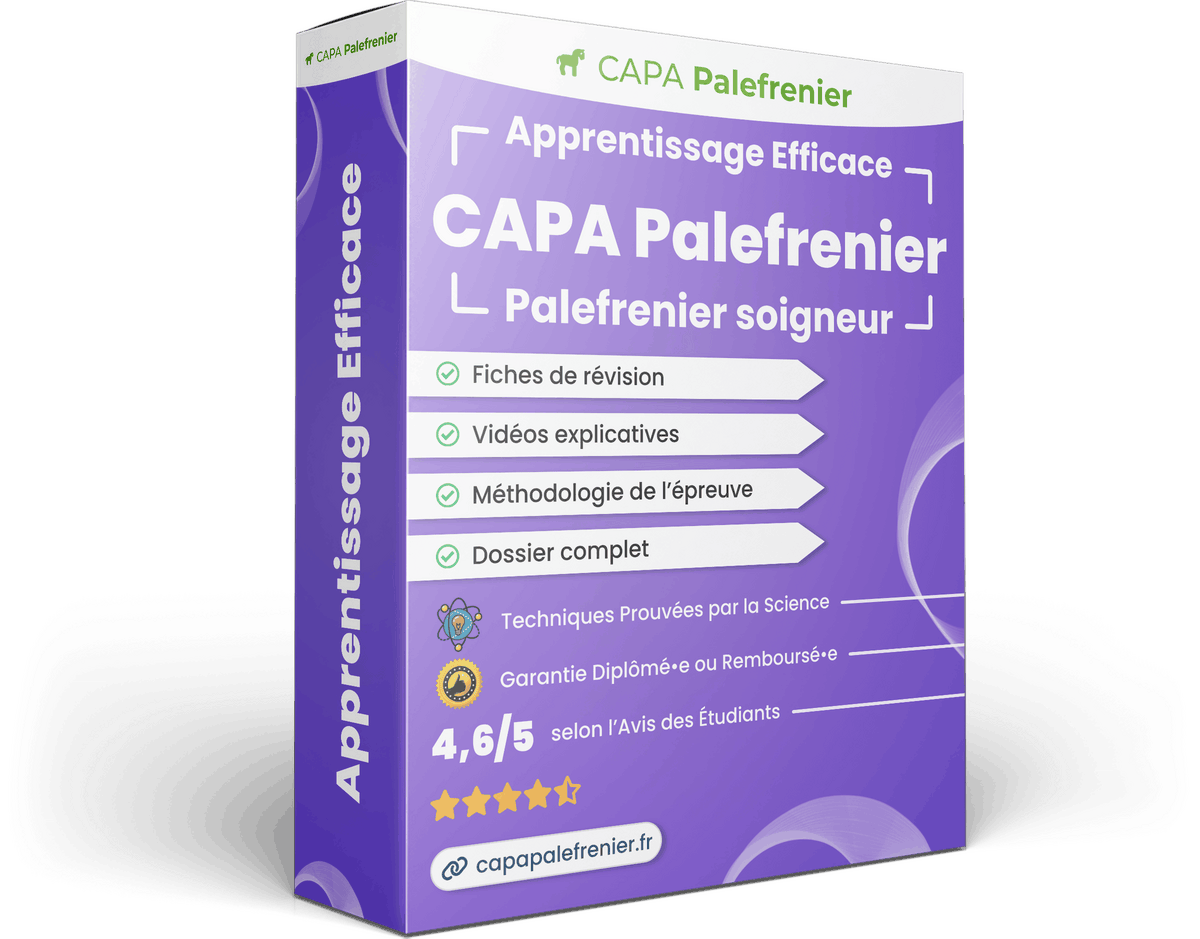 Image produit apprentissage-efficace
